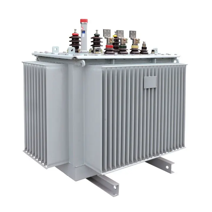 10kV Transformer oleum immersum